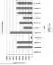 Fig. 03 - COMPOSITIONS AND METHODS FOR PREPARING SHORT RNA MOLECULES AND OTHER NUCLEIC ACIDS