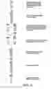 Fig. 10 - COMPOSITIONS AND METHODS FOR PREPARING SHORT RNA MOLECULES AND OTHER NUCLEIC ACIDS