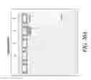 Fig. 23 - COMPOSITIONS AND METHODS FOR PREPARING SHORT RNA MOLECULES AND OTHER NUCLEIC ACIDS
