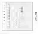 Fig. 31 - COMPOSITIONS AND METHODS FOR PREPARING SHORT RNA MOLECULES AND OTHER NUCLEIC ACIDS