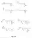 Fig. 02 - Bifunctional/polyfunctional dopamine D2/D3 agonist as neuroprotective agents for treatment of neurodegenerative diseases