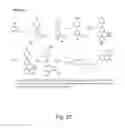 Fig. 27 - Bifunctional/polyfunctional dopamine D2/D3 agonist as neuroprotective agents for treatment of neurodegenerative diseases