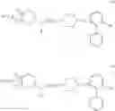Fig. 28 - Bifunctional/polyfunctional dopamine D2/D3 agonist as neuroprotective agents for treatment of neurodegenerative diseases