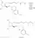 Fig. 12 - Process for preparing prostaglandin derivatives