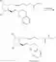 Fig. 16 - Process for preparing prostaglandin derivatives