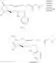 Fig. 18 - Process for preparing prostaglandin derivatives