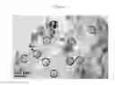 Fig. 04 - Catalysts containing nano-materials and methods of making and using same