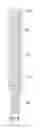 Fig. 06 - Brachytherapy Devices and Related Methods Providing Bioaborbability and/or Asymmetric Irradiation
