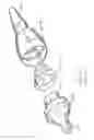 Fig. 12 - Urological device