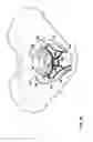 Fig. 16 - IMPLANT FOR SUPPORTING THE PELVIC FLOOR