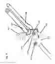Fig. 07 - Method for treating the prostate