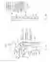 Fig. 07 - System and method for patient selection in treating sleep disordered breathing