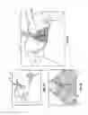 Fig. 08 - System and method of providing real-time dynamic imagery of a medical procedure site using multiple modalities