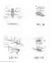 Fig. 02 - Systems and methods for in-vivo optical imaging and measurement