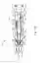 Fig. 19 - Handheld biopsy device with needle firing