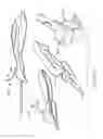 Fig. 23 - Handheld biopsy device with needle firing