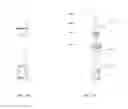 Fig. 08 - SAMPLE COLLECTOR WITH ADEQUACY SENSOR