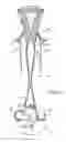 Fig. 07 - Cervical sizing devices and related kits and methods