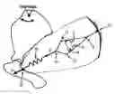 Fig. 01 - MECHANICAL DEVICE FOR TISSUE REGENERATION