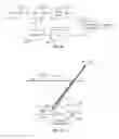 Fig. 37 - SYSTEMS AND METHODS TO TARGET BLOOD VESSEL ADVENTITIA WITH TRANSCUTANEOUS FOCUSED ULTRASOUND