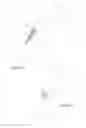 Fig. 04 - Introducer Assembly and Dilator Tip Therefor