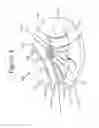 Fig. 04 - DEVICES FOR DELIVERING AT LEAST ONE ACTIVE AGENT TO TISSUE