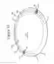 Fig. 17 - DEVICES FOR DELIVERING AT LEAST ONE ACTIVE AGENT TO TISSUE
