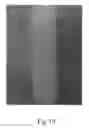 Fig. 17 - Embossed absorbent article