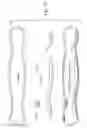 Fig. 18 - Embossed absorbent article