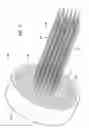 Fig. 07 - Needle array assembly and method for delivering therapeutic agents