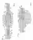 Fig. 04 - CRYOGENIC PROBE WITH SWIVEL