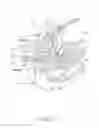 Fig. 03 - Electrosurgical element and uterine manipulator for total laparoscopic hysterectomy