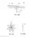 Fig. 33 - METHODS AND ELECTRODE APPARATUS TO ACHIEVE A CLOSURE OF A LAYERED TISSUE DEFECT
