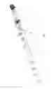 Fig. 02 - Intramedullary nail