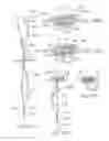 Fig. 27 - Hand operated device for controlled deployment of a tissue anchor and method of using the same