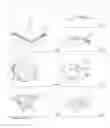 Fig. 09 - Elements for versatility of a prosthetic anchor