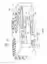 Fig. 19 - Selective tissue removal tool for use in medical applications and methods for making and using
