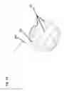 Fig. 15 - System for treating the prostate