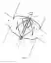 Fig. 11 - Percutaneous retrievable vascular filter