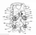 Fig. 01 - INTERSEGMENTAL MOTION PRESERVATION SYSTEM FOR USE IN THE SPINE AND METHODS FOR USE THEREOF