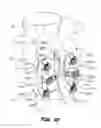 Fig. 13 - INTERSEGMENTAL MOTION PRESERVATION SYSTEM FOR USE IN THE SPINE AND METHODS FOR USE THEREOF