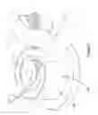 Fig. 12 - OCCIPITAL FIXATION SYSTEM AND METHOD OF USE
