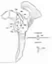 Fig. 01 - System and method for assisting with arrangement of a stock instrument with respect to a patient tissue