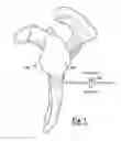 Fig. 02 - System and method for assisting with arrangement of a stock instrument with respect to a patient tissue