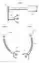 Fig. 17 - Hip joint instrument and method