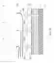 Fig. 18 - Retina Stimulation Apparatus and Manufacturing Method Thereof