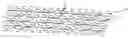 Fig. 01 - STENT WITH RADIALLY ASYMMETRIC FORCE DISTRIBUTION