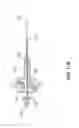 Fig. 18 - APPARATUS AND METHOD FOR PENETRATING AND ENLARGING ADJACENT TISSUE LAYERS