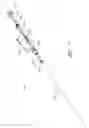Fig. 07 - APPARATUS AND METHOD OF PLACEMENT OF A GRAFT OR GRAFT SYSTEM