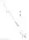 Fig. 26 - APPARATUS AND METHOD OF PLACEMENT OF A GRAFT OR GRAFT SYSTEM